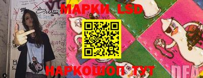 apvp Ставрополь